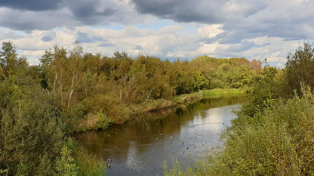 Ackerdijkse plassen